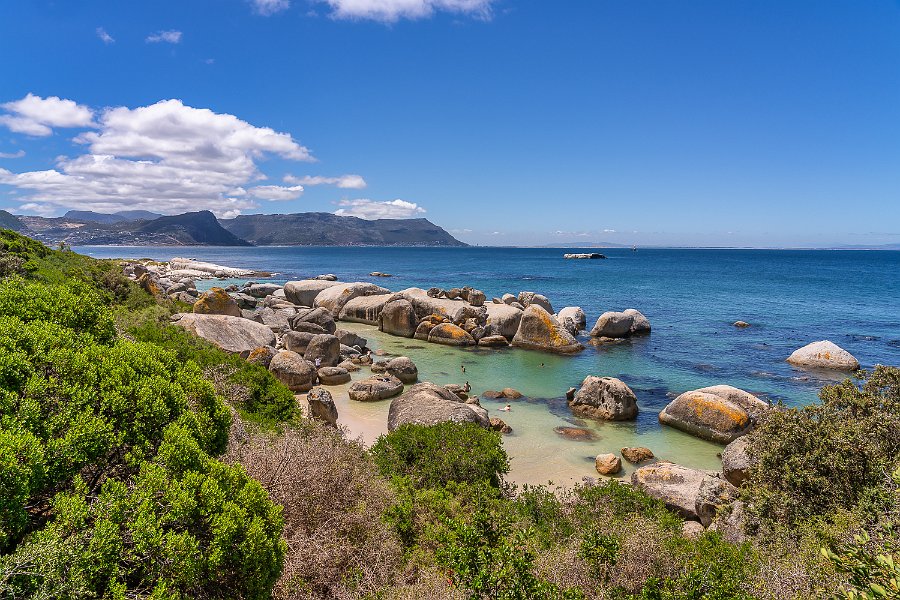150 Boulders Beach, Zuid-Afrika.jpg